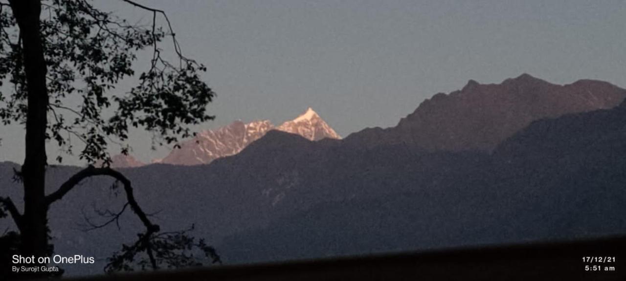 Log Cabin In The Woods Bed & Breakfast Gangtok Exterior foto